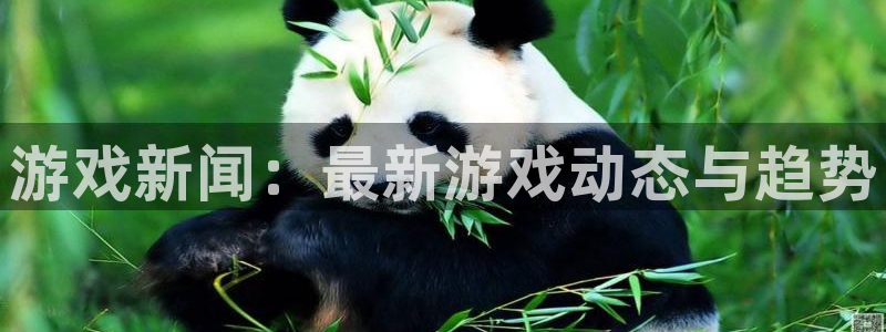 鼎点娱乐注册网站：游戏新闻：最新游戏动态与趋势