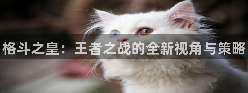 鼎点娱乐官网登录：格斗之皇：王者之战的全新视角与策略