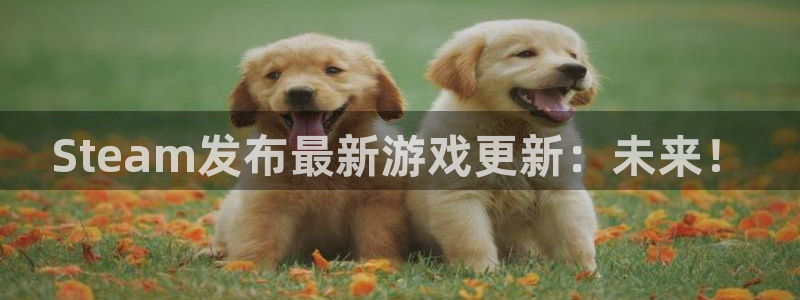 鼎点娱乐的意思：Steam发布最新游戏更新：未来！
