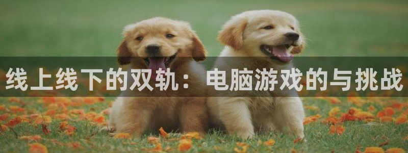 鼎点娱乐平台登录线路：线上线下的双轨：电脑游戏的与挑战