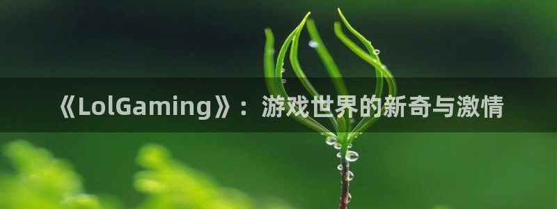 鼎点娱乐下载链接：《LolGaming》：游戏世界的新奇与激