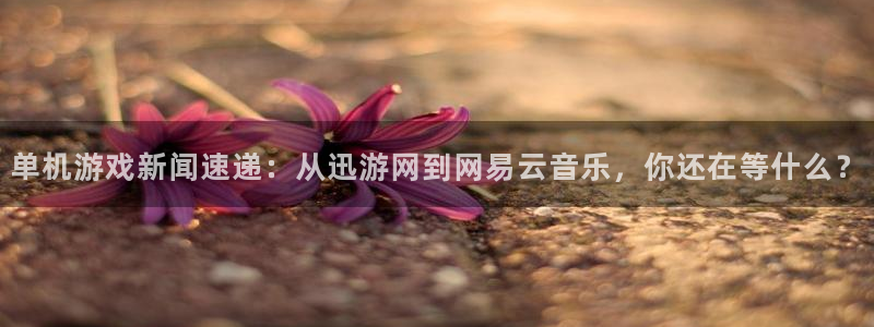 鼎点娱乐app：单机游戏新闻速递：从迅游网到网易云音乐，你还