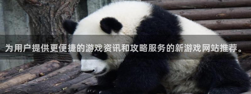 鼎点娱乐登录网址：为用户提供更便捷的游戏资讯和攻略服务的新游