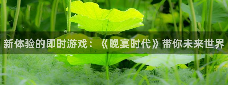 鼎点娱乐的意思：新体验的即时游戏：《晚宴时代》带你未来世界