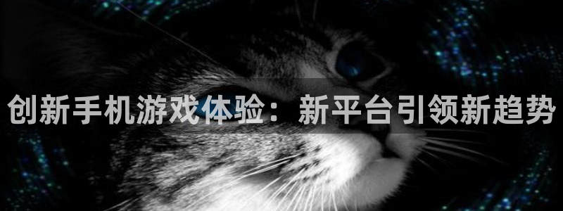 鼎点娱乐是什么：创新手机游戏体验：新平台引领新趋势