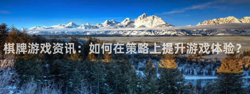 鼎点娱乐开户测速：棋牌游戏资讯：如何在策略上提升游戏体验？