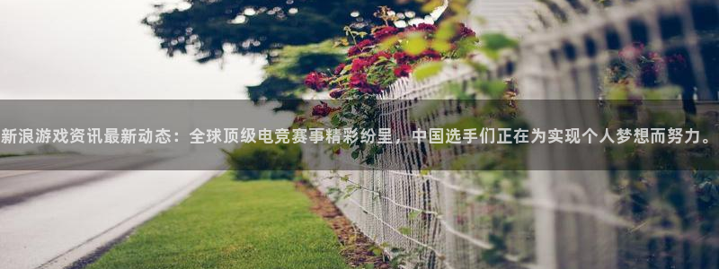 鼎点娱乐后.93O79.