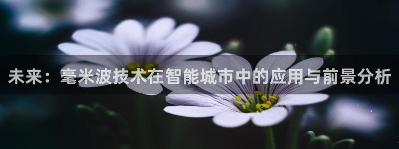 51视频在线直播nba：未来：毫米波技术在智能城市中的应用与前景分析