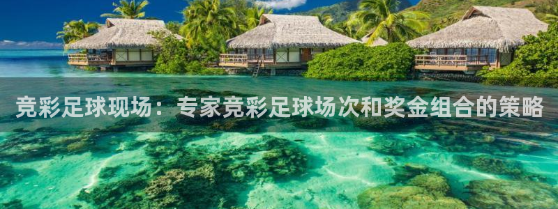 51视频在线直播nba：竞彩足球现场：专家竞彩足球场次和奖金组合的策略