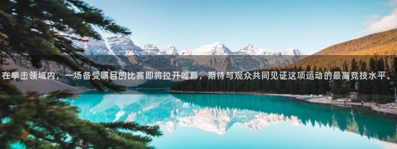 51视频在线直播nba：在拳击领域内，一场备受瞩目的比赛即将拉开帷幕，期待与观众共同见证这项运动的最高竞技水平。