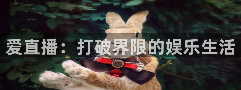 51视频在线直播nba：爱直播：打破界限的娱乐生活