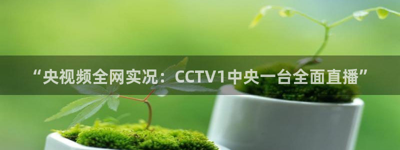 51视频在线直播nba：“央视频全网实况：CCTV1中央一台全面直播”